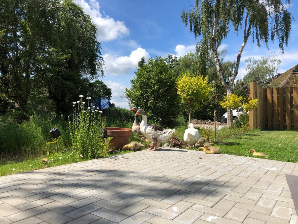Ferienhaus Malte Buesch Barlt Luaran gambar
